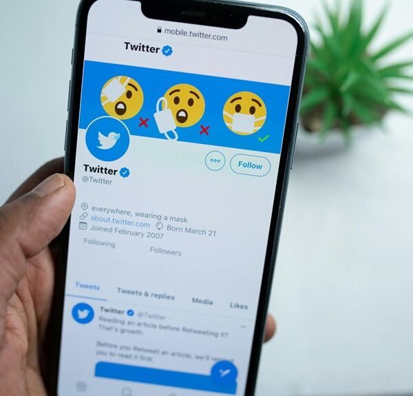 Social Media Account Overview Covering marshmelowu222 and Alerts Records