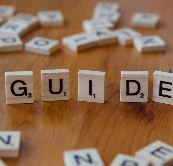 beginner friendly guide to numbers